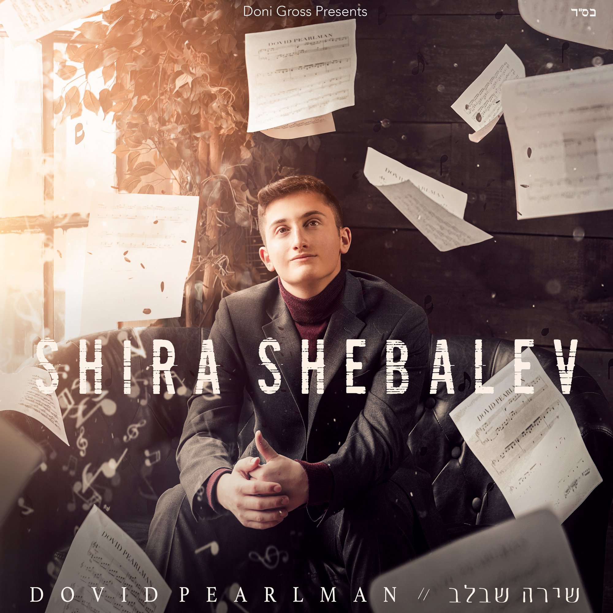 דוד פרלמן - שירה מהלב - אלבום חדש - Shira Shebalev - Dovid Pearlman
