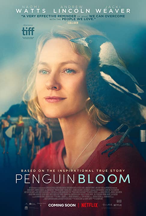 פינגווין בלום  - Penguin Bloom - תרגום מובנה - איכות 720p