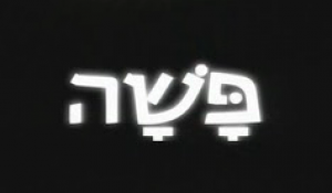 פשה עונה 1 - פרק 2